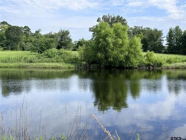 2096 FM 21, Pittsburg, TX for sale - Primary Photo - Image 1 of 12