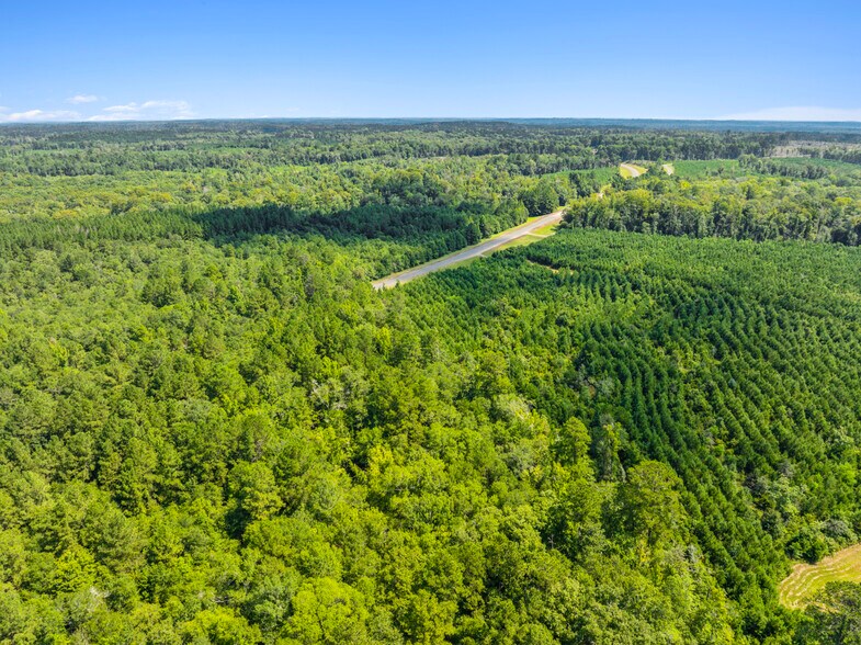 7471 Highway 155, Saline, LA à vendre - Photo du bâtiment - Image 3 de 80