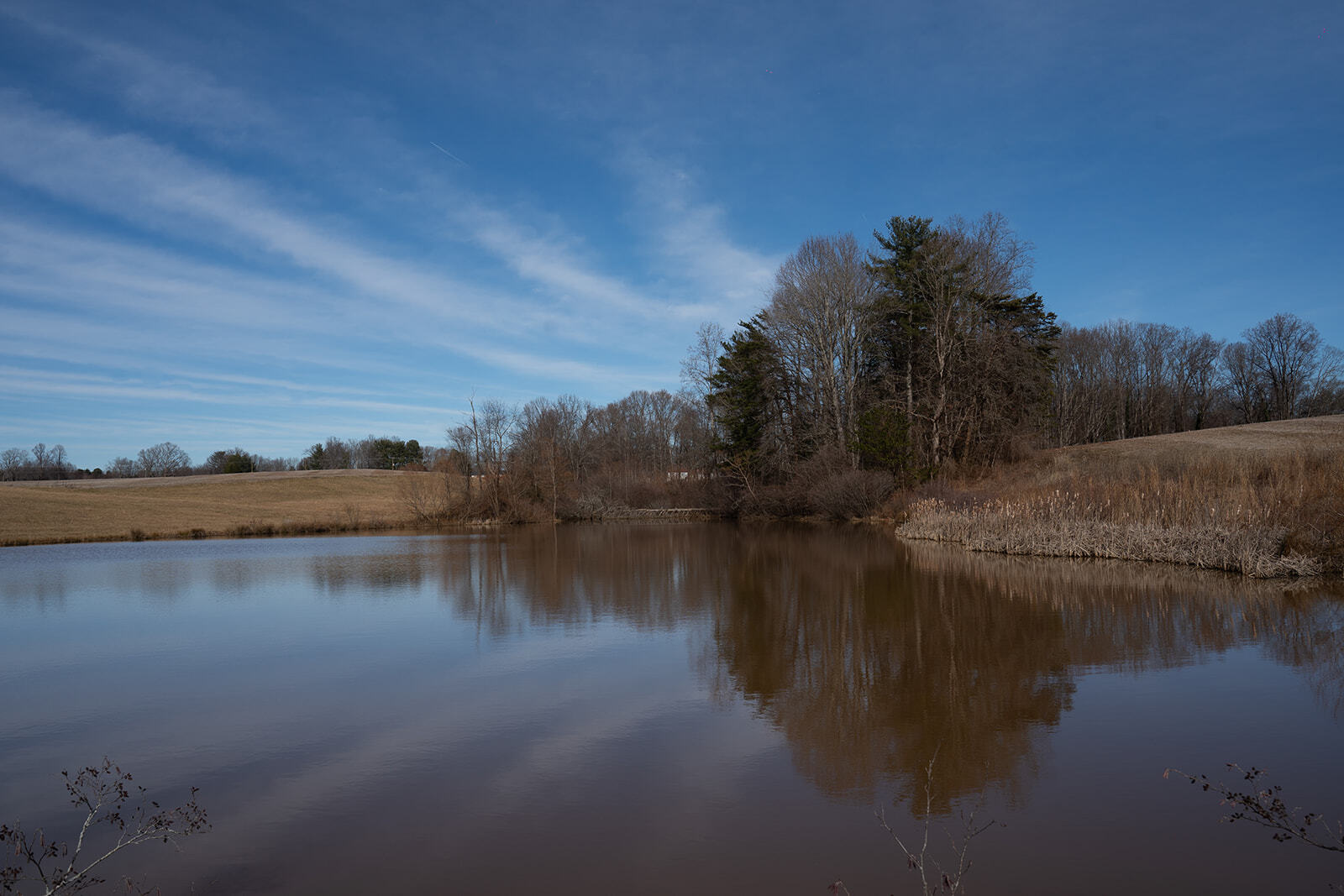 Pine Ridge Rd, Mount Airy, NC for sale Primary Photo- Image 1 of 1