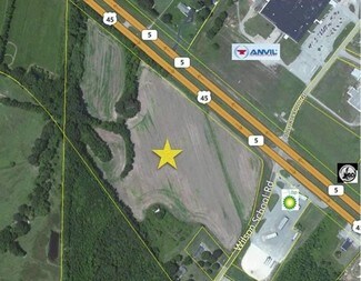 Plus de détails pour US-45 & Wilson School Rd, Henderson, TN - Terrain à vendre