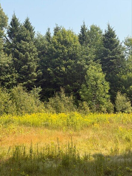 3995 Boulter Rd, Boulter, ON à vendre - Photo du bâtiment - Image 3 de 7