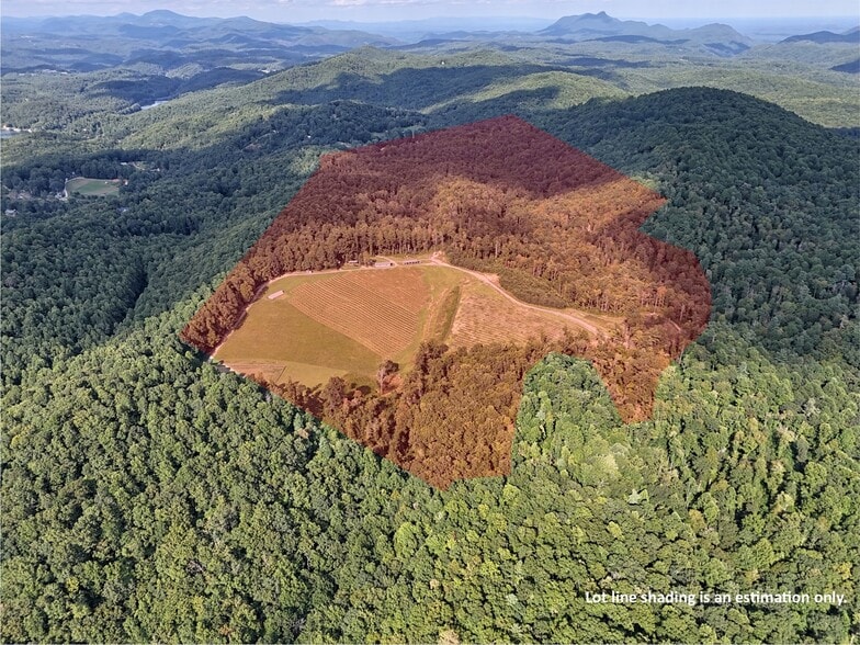 781 Payne dr, Zirconia, NC for sale - Aerial - Image 2 of 40