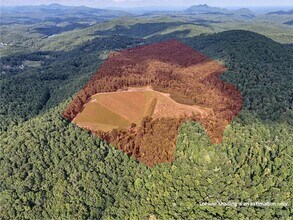 781 Payne dr, Zirconia, NC - AERIAL map view - Image1