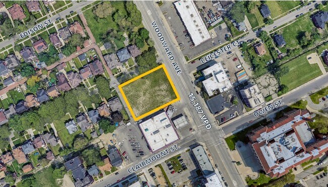 Plus de détails pour 9155 Woodward Ave, Detroit, MI - Terrain à vendre