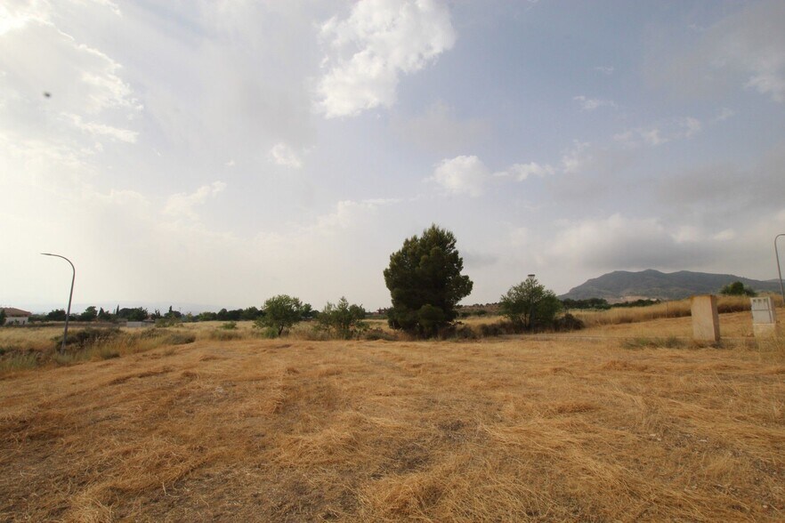 Terrain dans Caudete, Albacete à vendre - Photo principale - Image 2 de 6