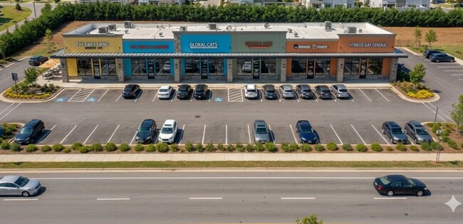 Plus de détails pour 751 Georgia Highway 100 S, Tallapoosa, GA - Terrain à vendre