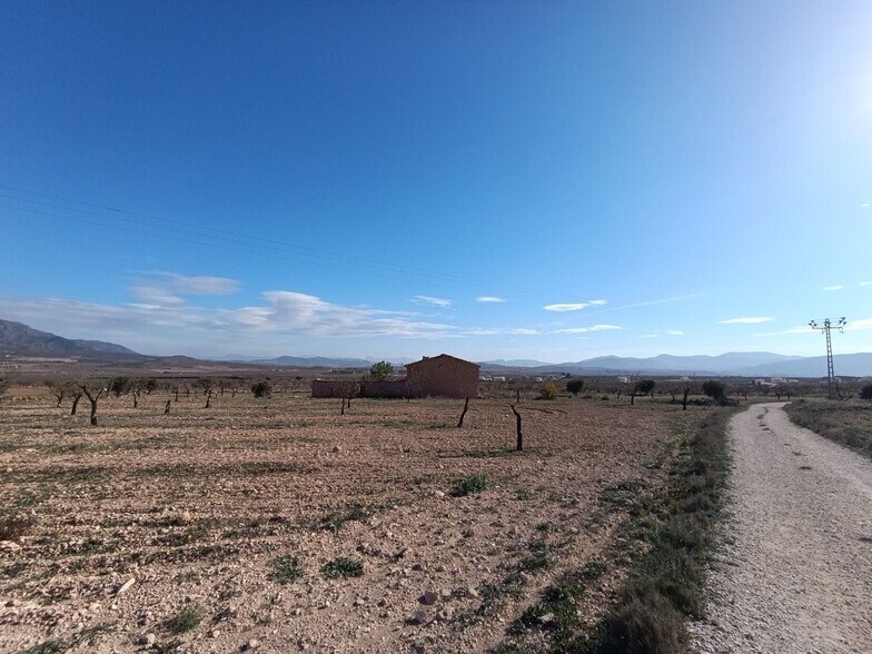 Terrain dans Yecla, Murcia à vendre - Photo principale - Image 2 de 20