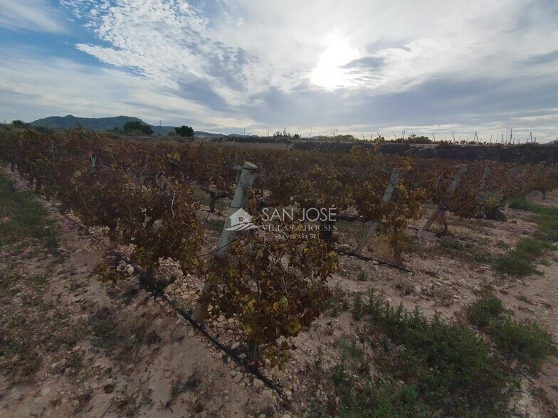 Terrain dans Novelda, Alicante à vendre - Photo principale - Image 2 de 5