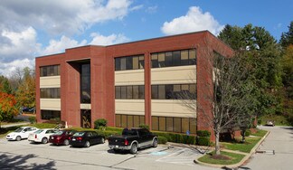 Plus de détails pour 1009 Beaver Grade Rd, Coraopolis, PA - Bureau à louer
