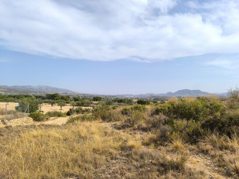 Land in Sax, Alicante for sale - Primary Photo - Image 3 of 6