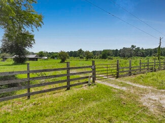 More details for 386 County Road 784, Buna, TX - Land for Sale
