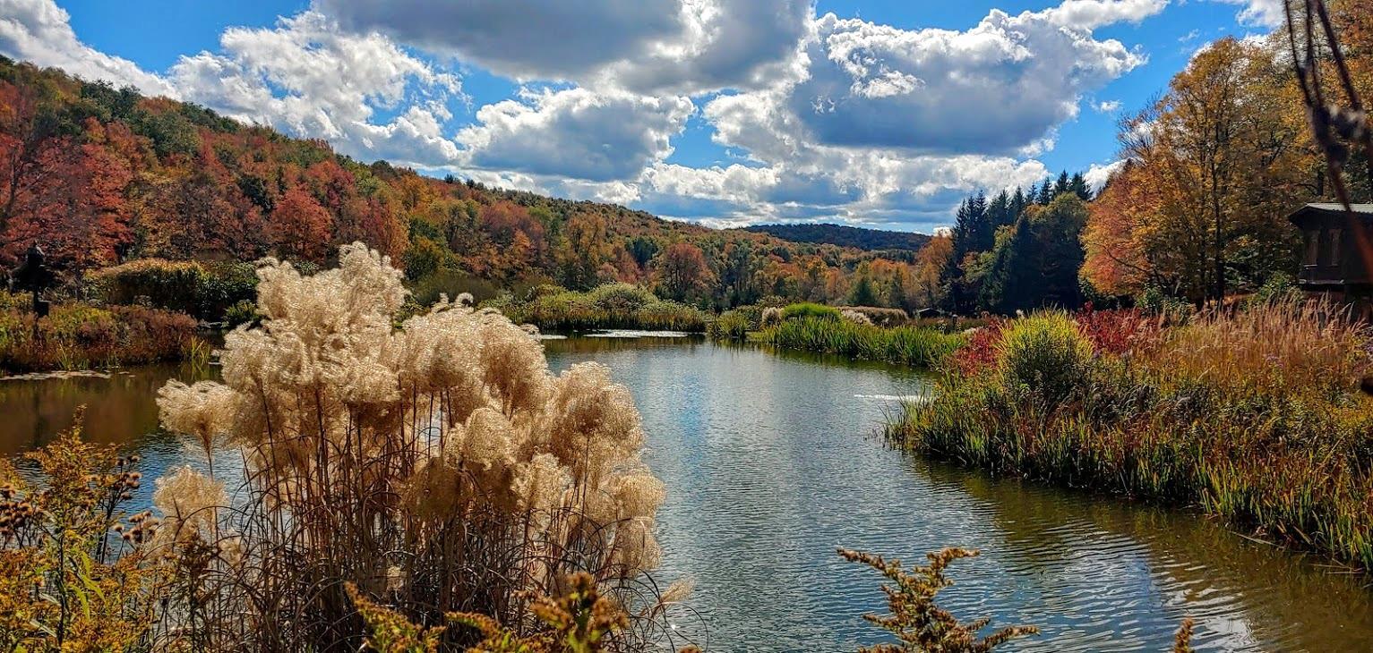 304 Sutherland Rd, East Meredith, NY for sale Primary Photo- Image 1 of 50