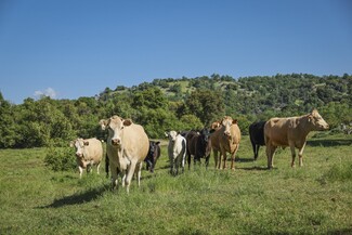 Plus de détails pour Dry Creek Drive, Badger, CA - Terrain à vendre