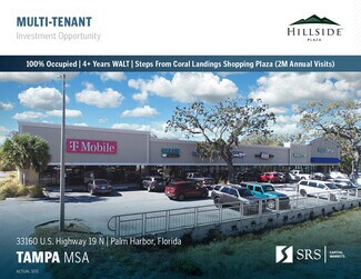 Plus de détails pour 33100-33160 U.S. 19 Hwy N, Palm Harbor, FL - Commerce de détail à vendre