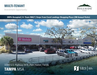 Plus de détails pour 33100-33160 U.S. 19 Hwy N, Palm Harbor, FL - Commerce de détail à vendre