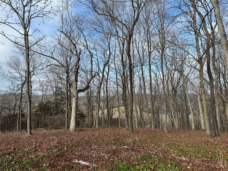 0 Schluersburg Rd, Augusta, MO à vendre - Photo du bâtiment - Image 1 de 1