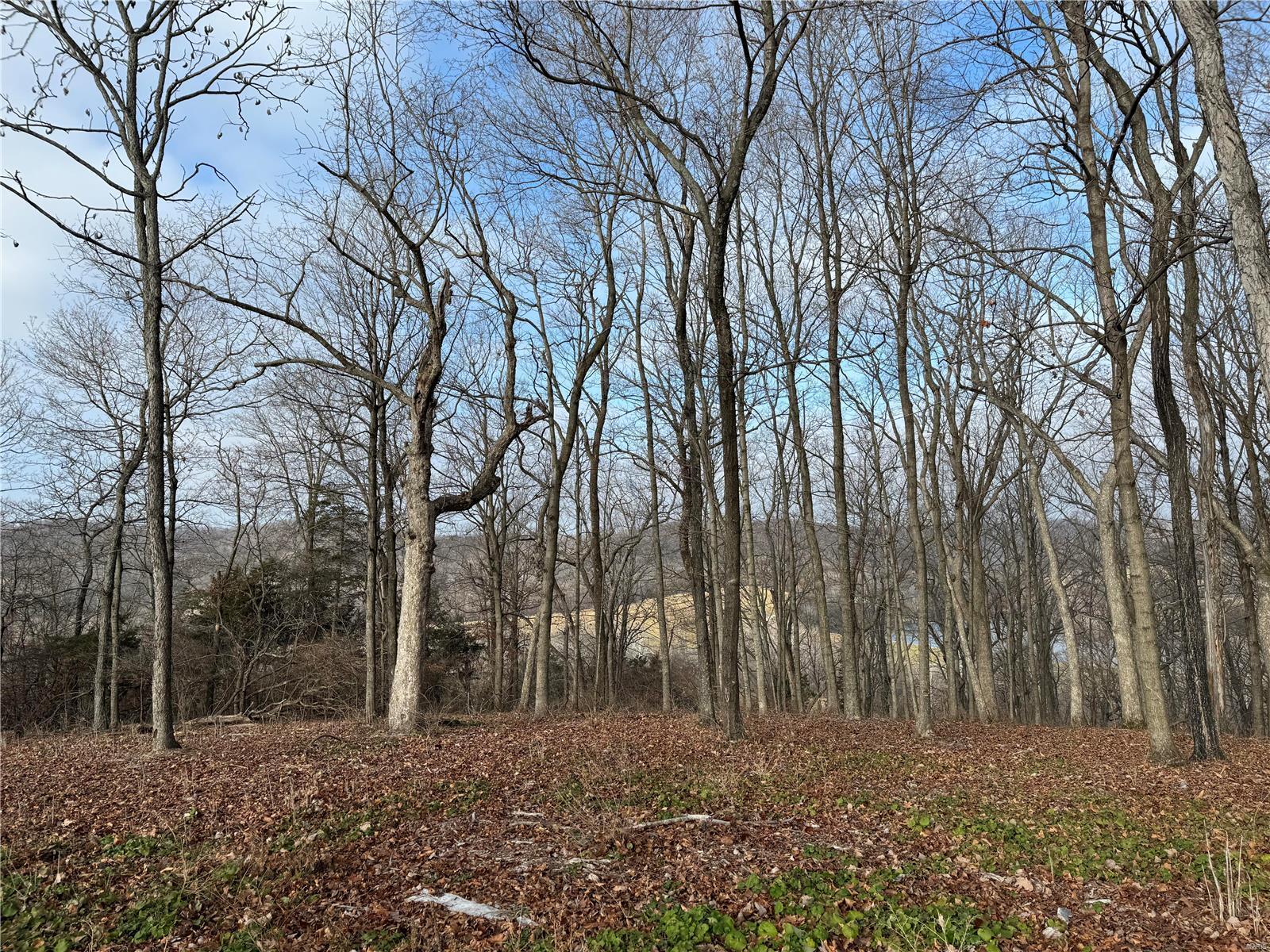 0 Schluersburg Rd, Augusta, MO for sale Building Photo- Image 1 of 2