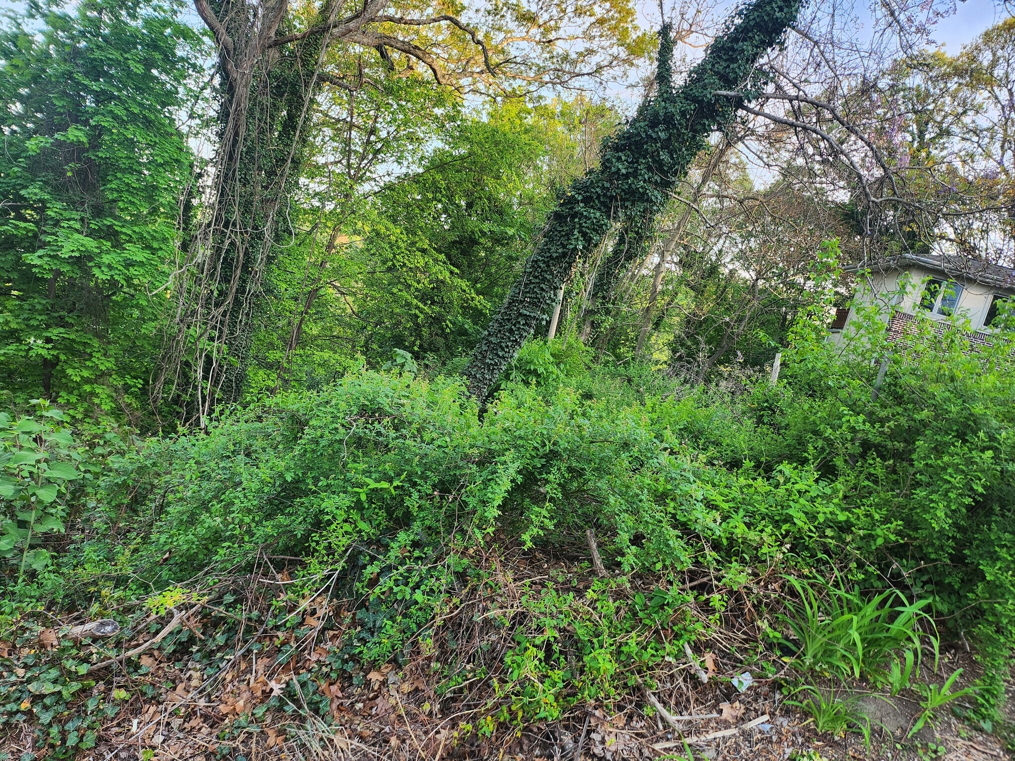 Fernwood Ln, Roslyn, NY for sale Primary Photo- Image 1 of 4