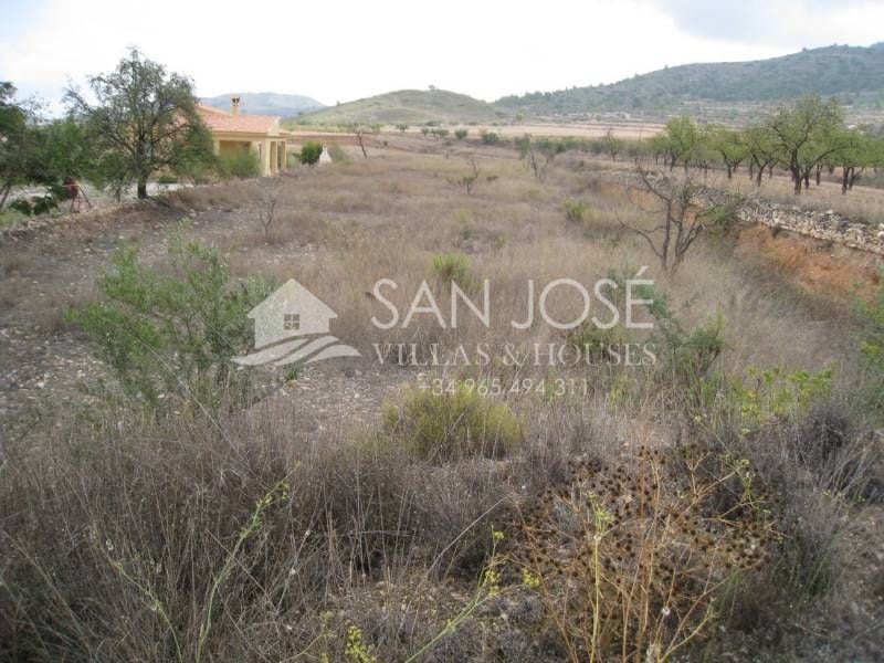 Terrain dans Hondón de los Frailes, Alicante à vendre Plan de site- Image 1 de 4