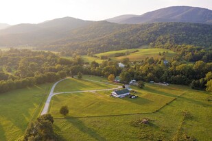 Wintergreen Winery - Vignoble