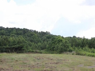 Plus de détails pour 0 AL HWY 157, Cullman, AL - Terrain à vendre