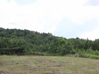 Plus de détails pour 0 AL HWY 157, Cullman, AL - Terrain à vendre