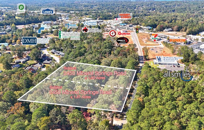 Plus de détails pour 2458 Mineral Springs Rd, Lexington, SC - Terrain à vendre