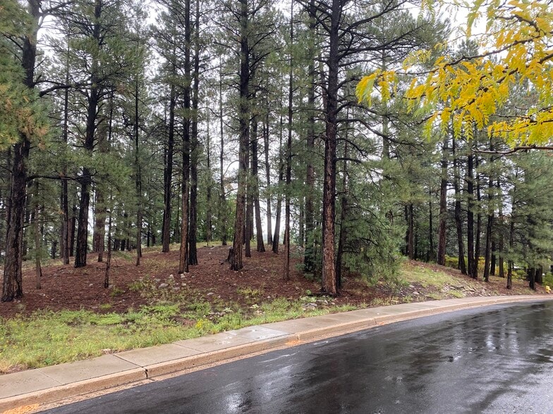 740 W University Heights Dr S, Flagstaff, AZ à vendre - Photo du bâtiment - Image 2 de 2