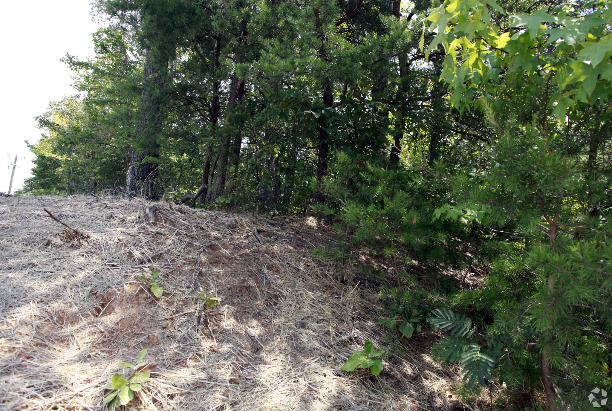 Mine Rd & Greenspring Dr, Stafford, VA for lease Building Photo- Image 1 of 4