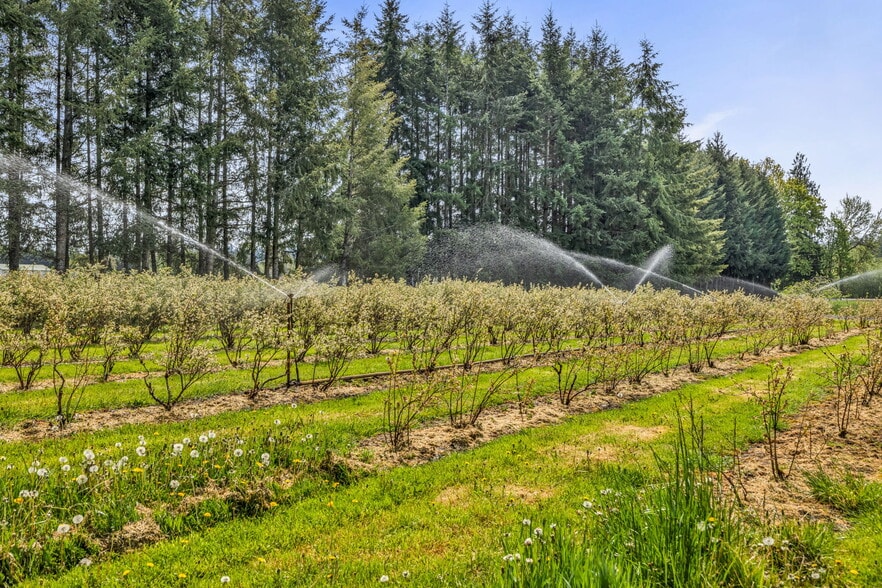 761 WA-508 Hwy, Chehalis, WA for sale - Other - Image 2 of 4