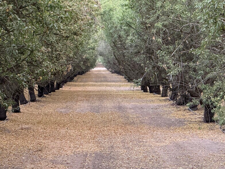 E. Keyes Rd, Denair, CA à vendre - Autre - Image 3 de 10