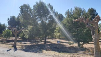 More details for Land for Sale