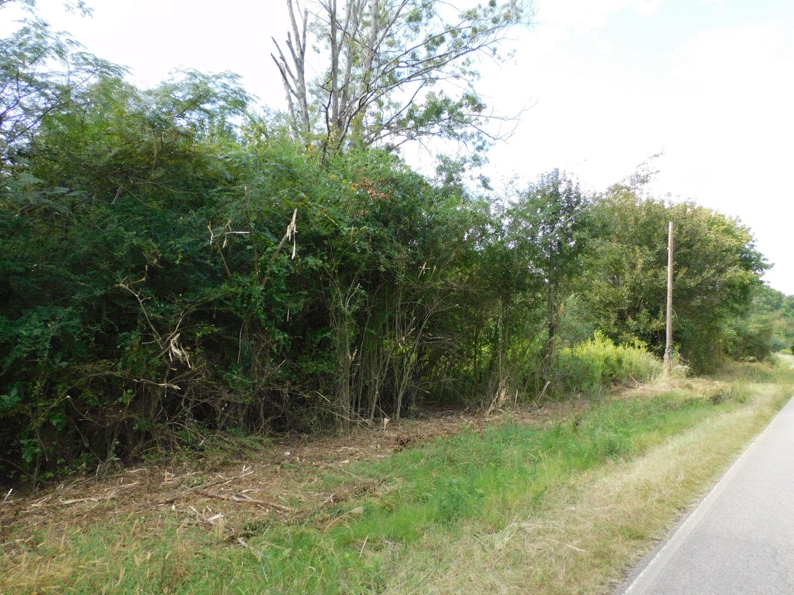 1389-1409 Creswell Rd, Harpersville, AL for sale Primary Photo- Image 1 of 3