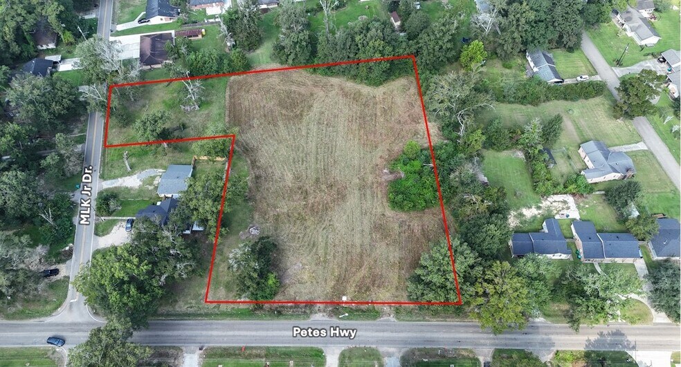 309 Petes Hwy, Denham Springs, LA à vendre - Photo du bâtiment - Image 2 de 8