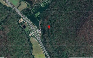 Plus de détails pour Martin Springs Rd, South Pittsburg, TN - Terrain à vendre