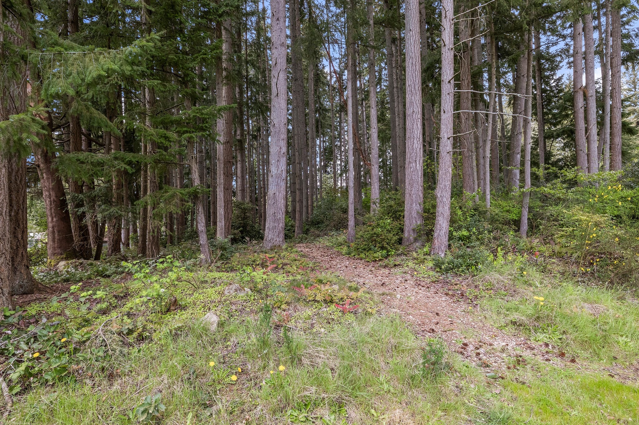 4494 SE Mile Hill Dr, Port Orchard, WA à vendre Photo principale- Image 1 de 4