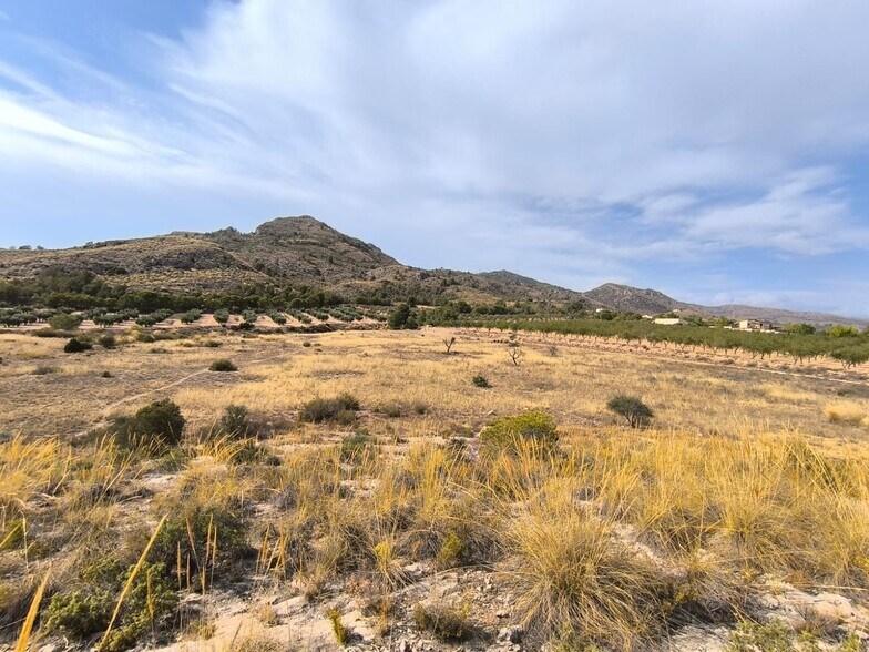 Land in Sax, Alicante for sale - Primary Photo - Image 2 of 6