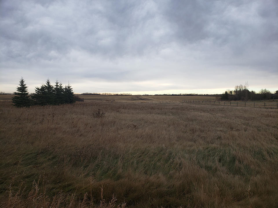 49327 Range Road 253, Leduc County, AB à vendre Autre- Image 1 de 1