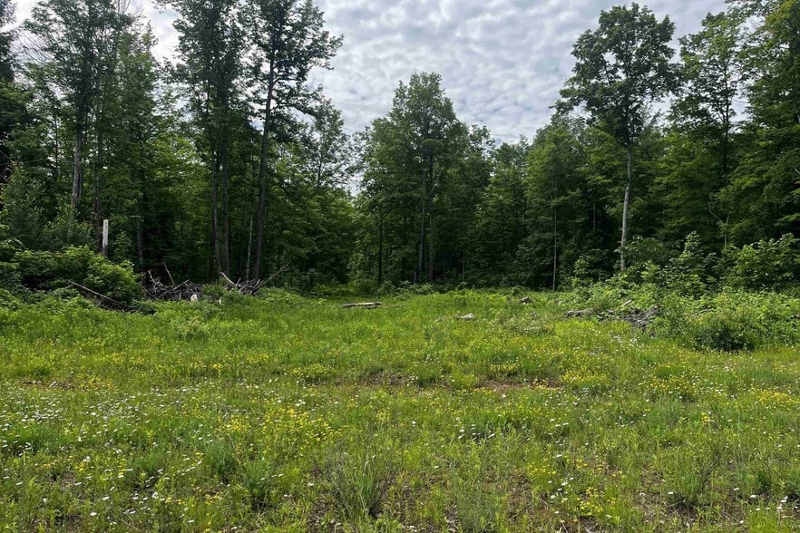 Laird Road Rd, Pelkie, MI for sale - Other - Image 3 of 13
