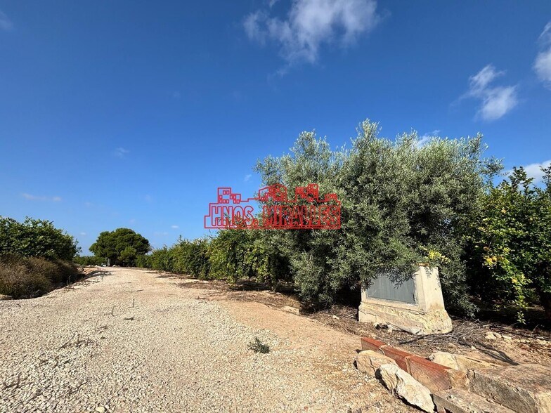 Land in Elche, Alicante for sale - Building Photo - Image 2 of 4