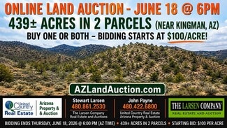 Plus de détails pour 6727 N Trap Springs Rd, Hackberry, AZ - Terrain à vendre