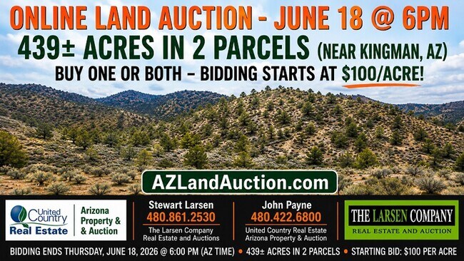 More details for 6727 N Trap Springs Rd, Hackberry, AZ - Land for Sale