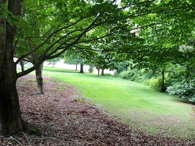 1212 Orchard Lake Drive, Clarkesville, GA for sale - Building Photo - Image 2 of 4