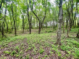 Plus de détails pour 953 Perry Hwy, Harmony, PA - Terrain à vendre