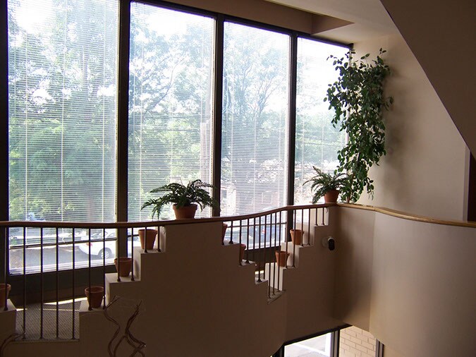 56 Lafayette Ave, White Plains, NY à louer - Photo intérieure - Image 3 de 13
