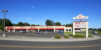 More details for 160 Tyler Rd S, Red Wing, MN - Retail for Lease