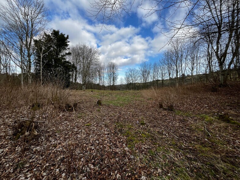 Parkdaill, Hawick à vendre - Autre - Image 2 de 3