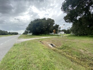 Plus de détails pour 8536 State Road 33 N, Lakeland, FL - Terrain à vendre