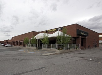 Plus de détails pour 4120 Steeles Ave W, Vaughan, ON - Industriel à louer