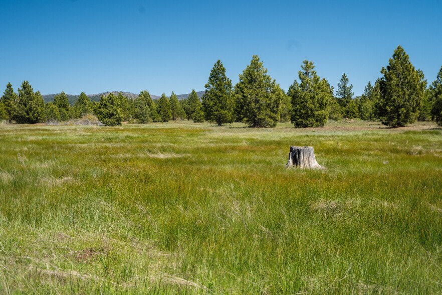 000 000 Delwood Street, Westwood, CA à vendre - Photo du bâtiment - Image 3 de 26